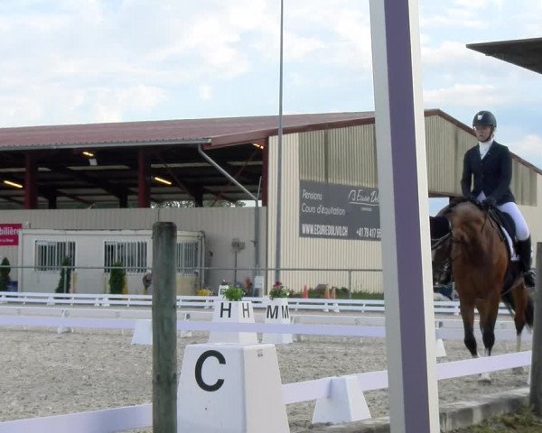 Reitturnier Dompierre 2023