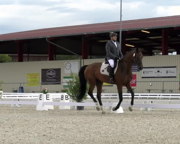 Reitturnier Dompierre 2023