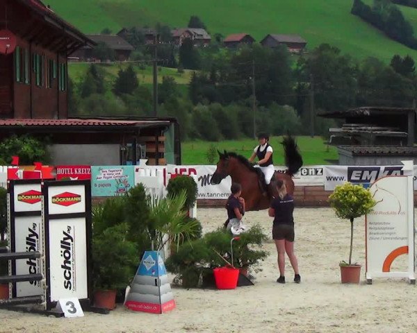 Reitturnier Schüpfheim 2023
