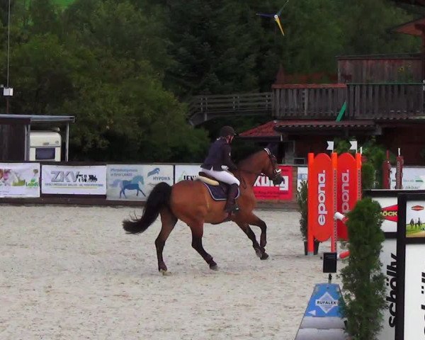 Reitturnier Schüpfheim 2023