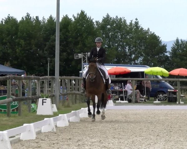 Reitturnier Dompierre 2023
