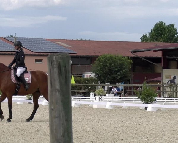 Reitturnier Dompierre 2023