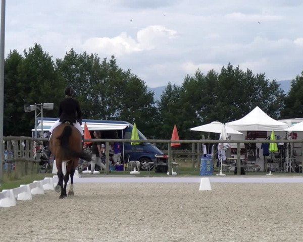 Reitturnier Dompierre 2023
