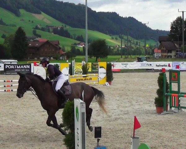 Reitturnier Schüpfheim 2023