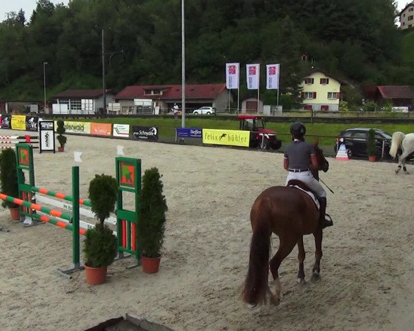 Reitturnier Schüpfheim 2023