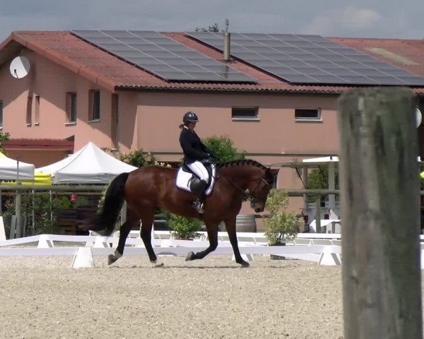 Reitturnier Dompierre 2023