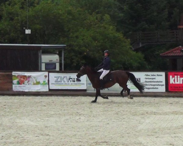 Reitturnier Schüpfheim 2023