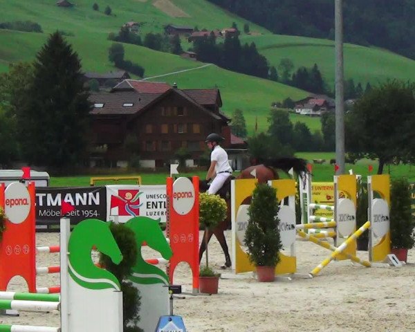 Reitturnier Schüpfheim 2023