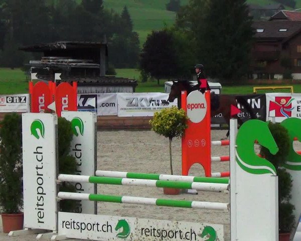 Reitturnier Schüpfheim 2023