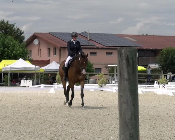 Reitturnier Dompierre 2023
