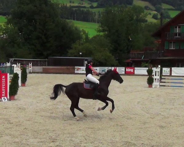 Reitturnier Schüpfheim 2023