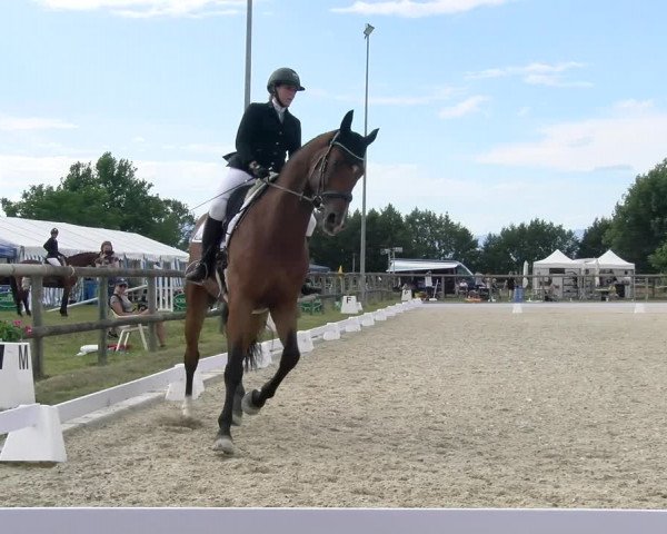 Reitturnier Dompierre 2023