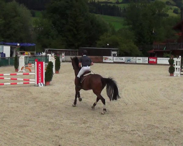 Reitturnier Schüpfheim 2023