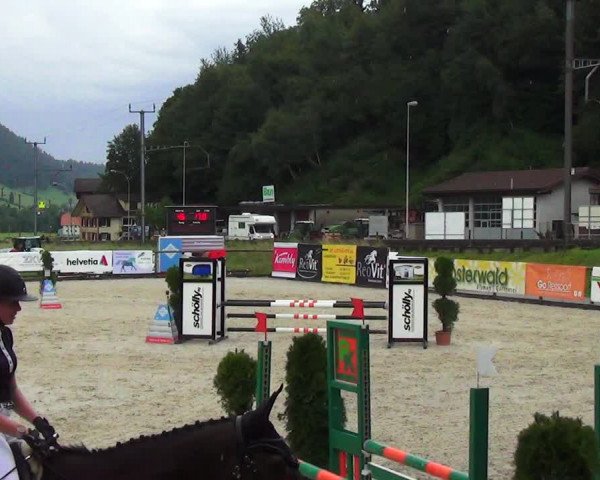 Reitturnier Schüpfheim 2023