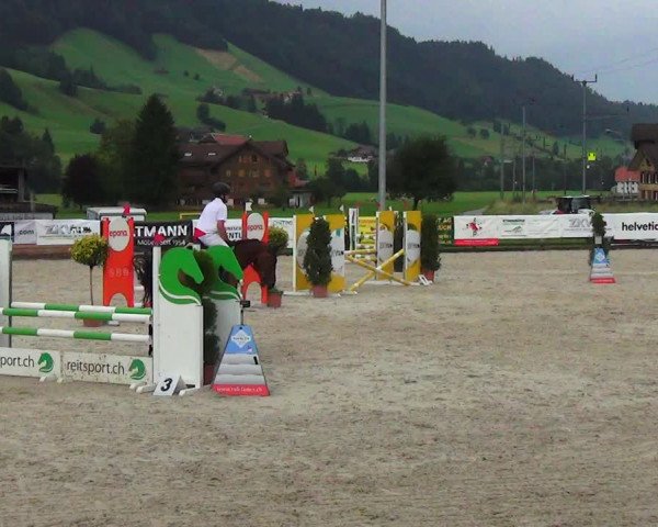 Reitturnier Schüpfheim 2023