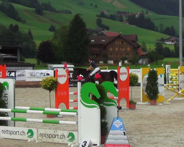 Reitturnier Schüpfheim 2023