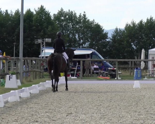Reitturnier Dompierre 2023