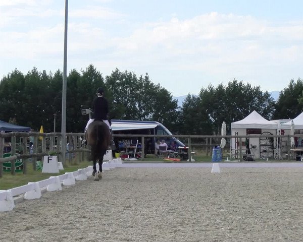 Reitturnier Dompierre 2023