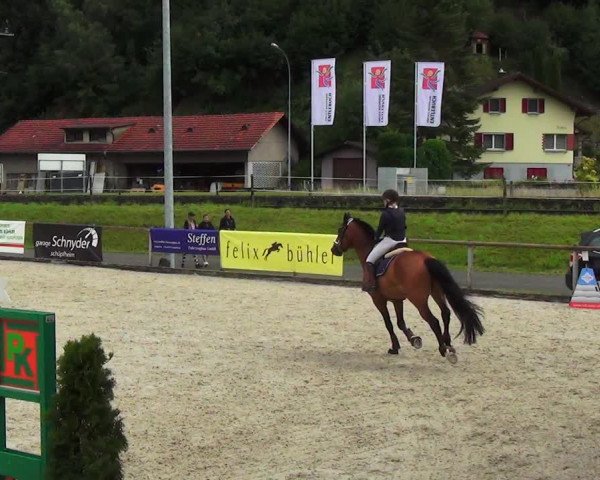 Reitturnier Schüpfheim 2023