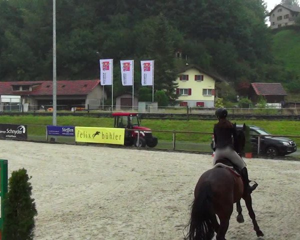 Reitturnier Schüpfheim 2023