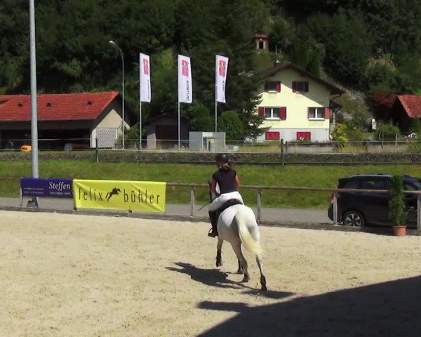 Reitturnier Schüpfheim 2023