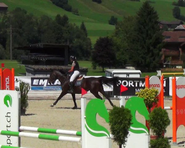 Reitturnier Schüpfheim 2023