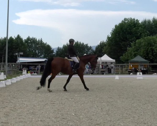 Reitturnier Dompierre 2023