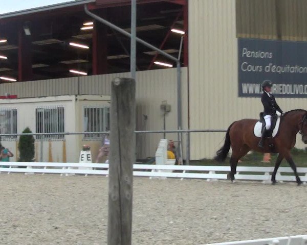 Reitturnier Dompierre 2023
