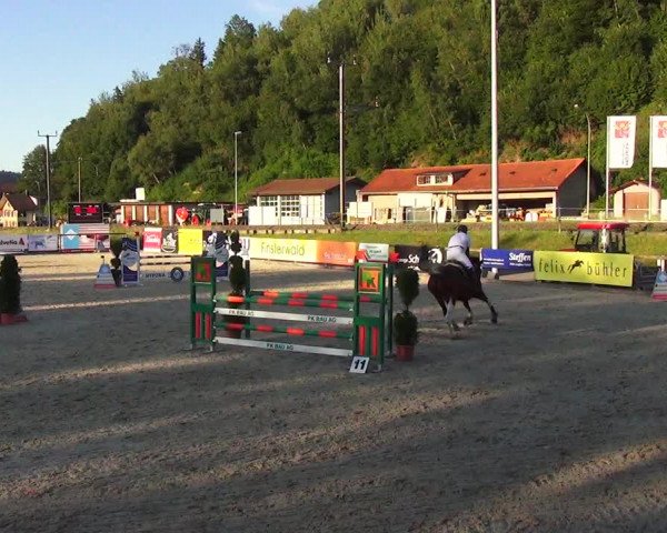 Reitturnier Schüpfheim 2023