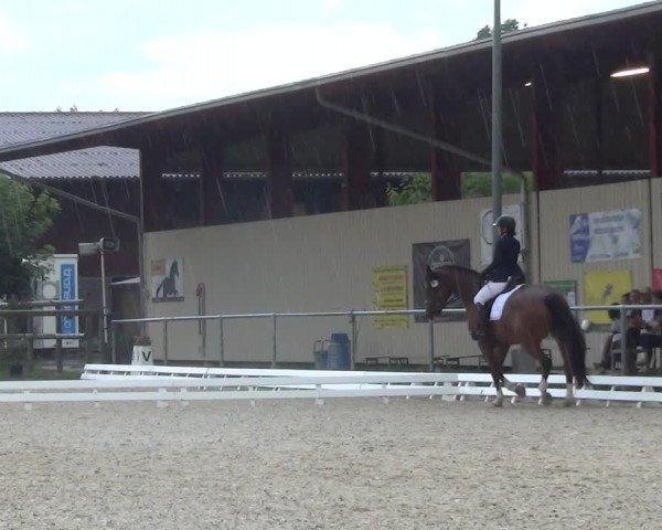 Reitturnier Dompierre 2023