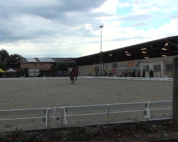 Reitturnier Dompierre 2023