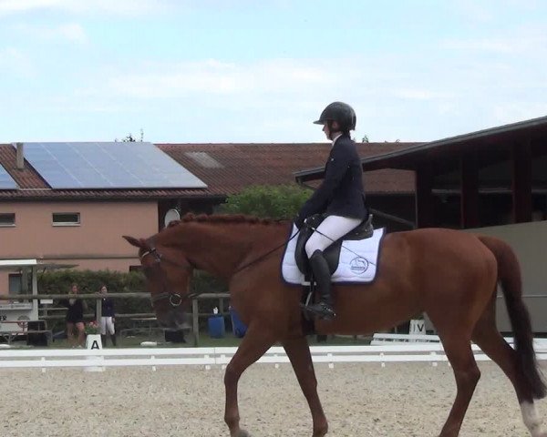 Reitturnier Dompierre 2023