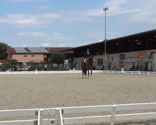 Reitturnier Dompierre 2023