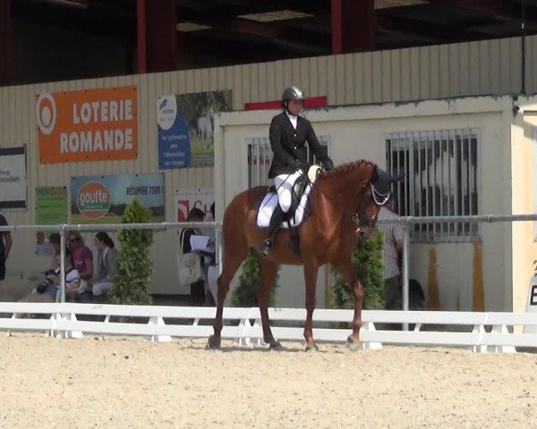 Reitturnier Dompierre 2023
