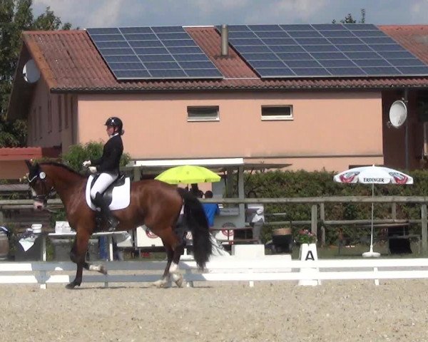 Reitturnier Dompierre 2023