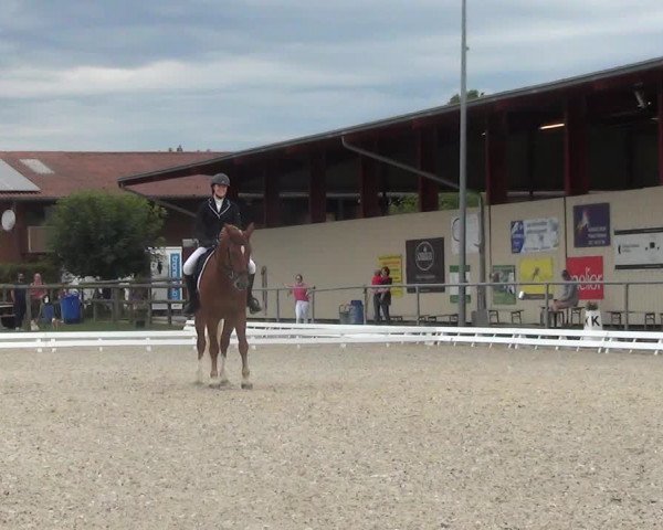 Reitturnier Dompierre 2023