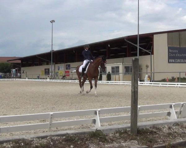 Reitturnier Dompierre 2023