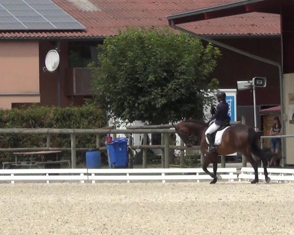 Reitturnier Dompierre 2023