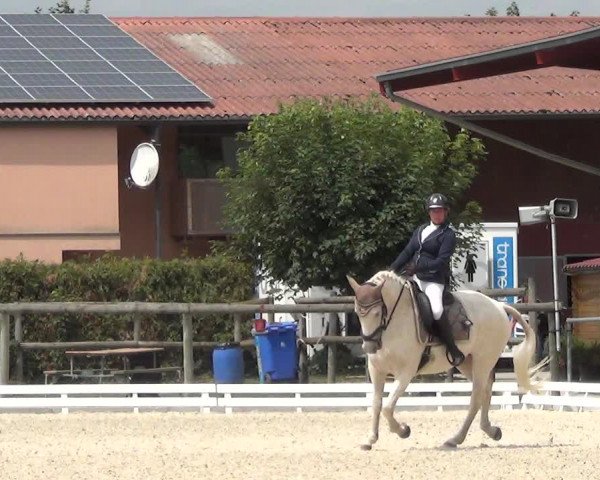 Reitturnier Dompierre 2023