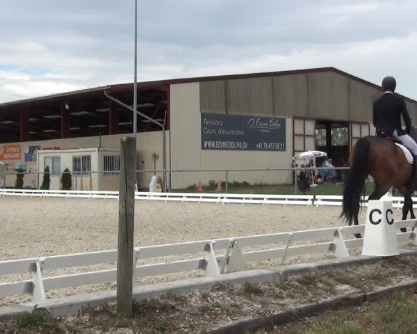 Reitturnier Dompierre 2023