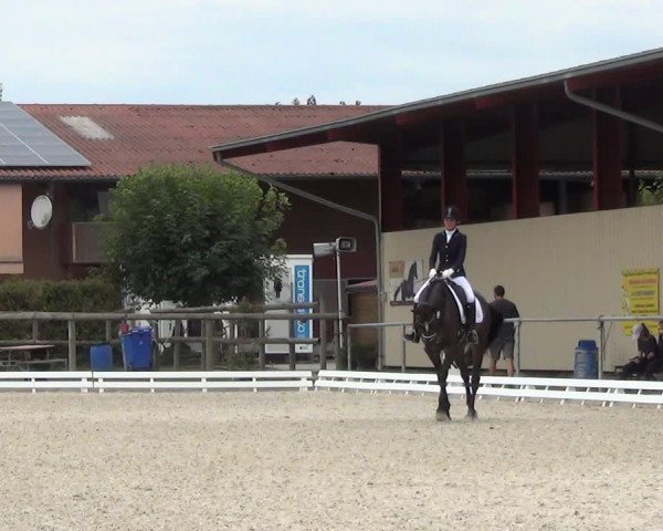 Reitturnier Dompierre 2023