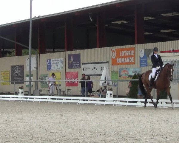 Reitturnier Dompierre 2023