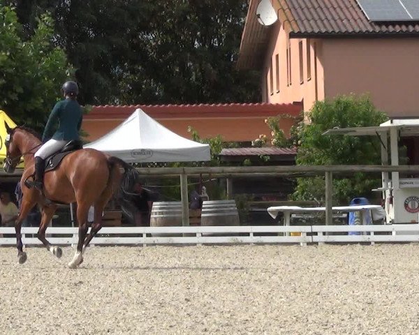 Reitturnier Dompierre 2023