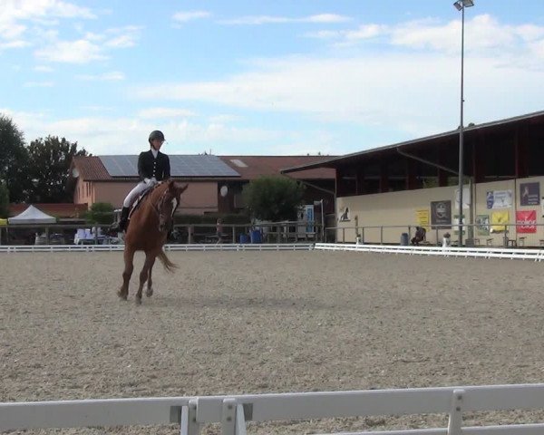 Reitturnier Dompierre 2023