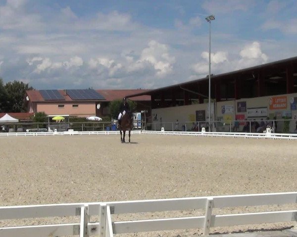Reitturnier Dompierre 2023