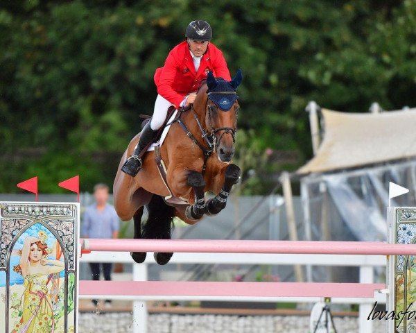 jumper E-Up (Oldenburg show jumper, 2012, from Eldorado van de Zeshoek)
