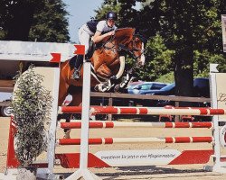 Zuchtstute Shani 9 (KWPN (Niederländisches Warmblut), 2012, von Spartacus TN)