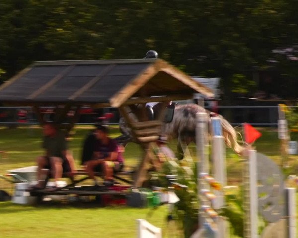 Reitturnier Woldegk 2023