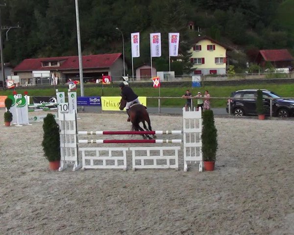 Reitturnier Schüpfheim 2023