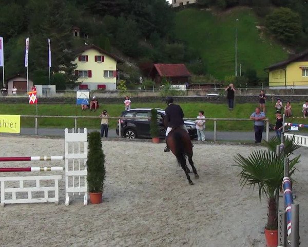 Reitturnier Schüpfheim 2023